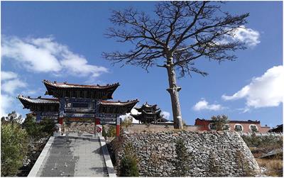 History of Tree Growth Declines Recorded in Old Trees at Two Sacred Sites in Northern China